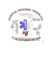 hospitalregionalyahualica.milaulas.com